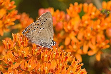 类银河战士恶魔城游戏《永恒之夜》现已在Steam推出