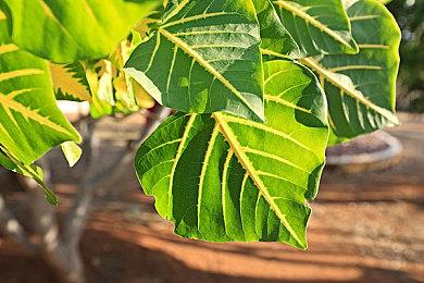 《脑航员2》制作人称开发到目前为止没有加过班